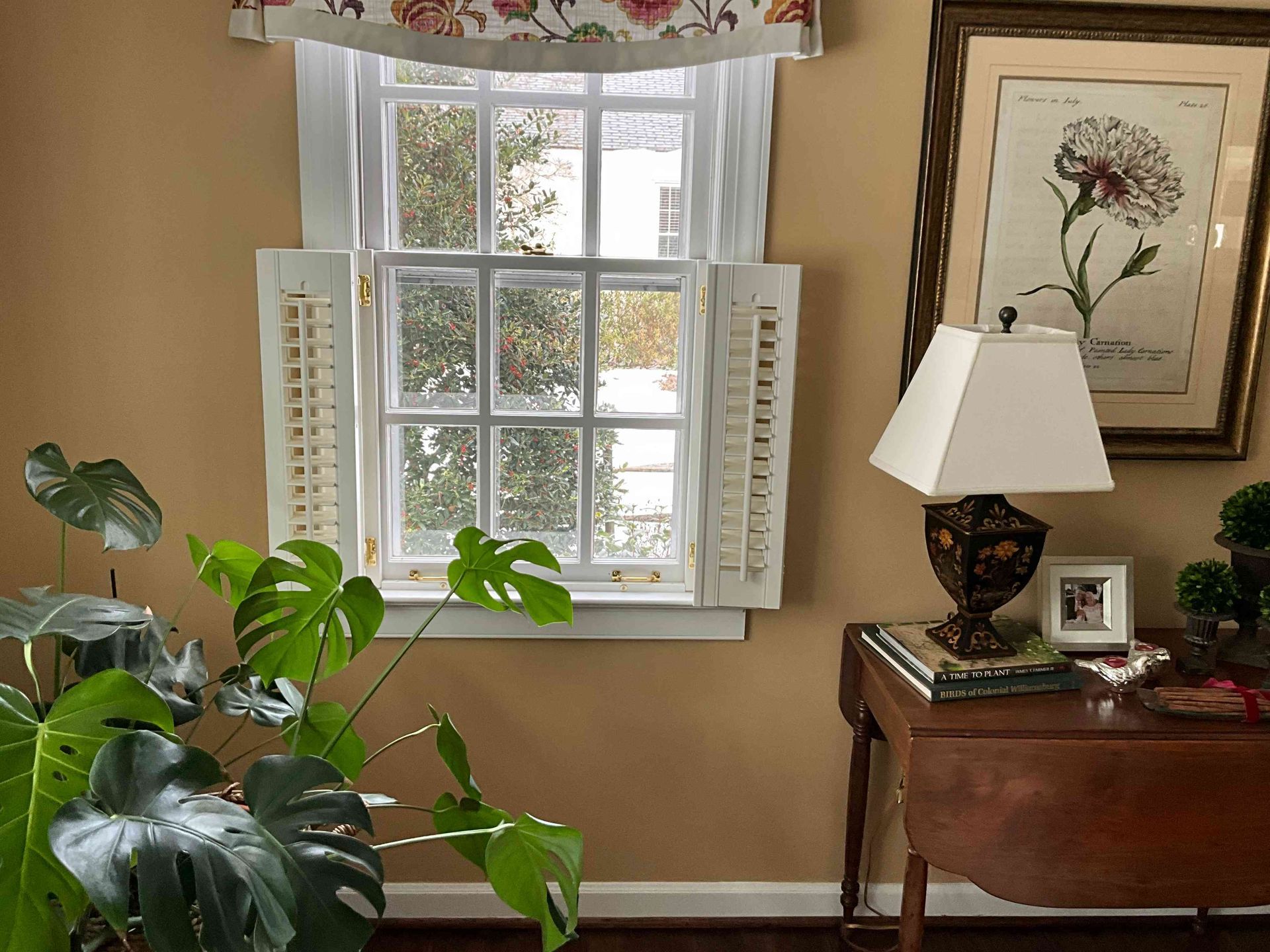 Sunlit living room window with shutters, a leafy plant, and a table lamp on a wooden side table.