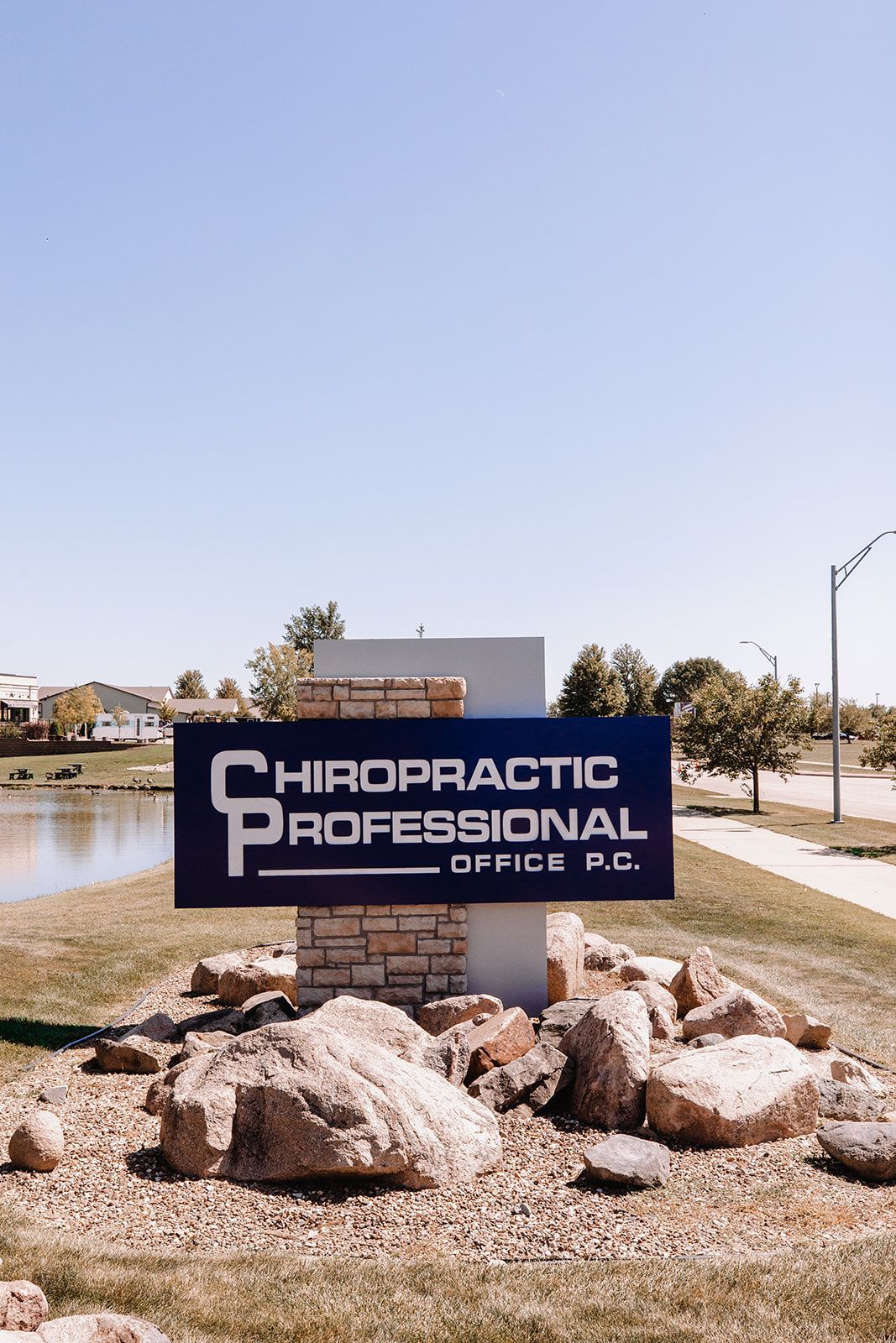 A chiropractic professional office sign is sitting on top of a pile of rocks