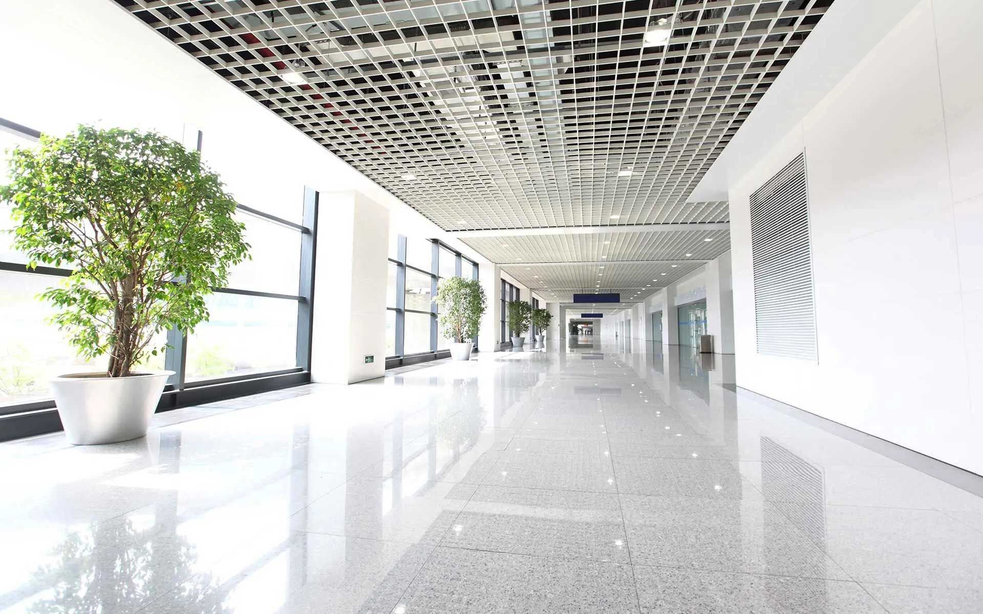 Bright, modern hallway with floor-to-ceiling windows, potted trees, and reflective, terrazzo-like flooring.