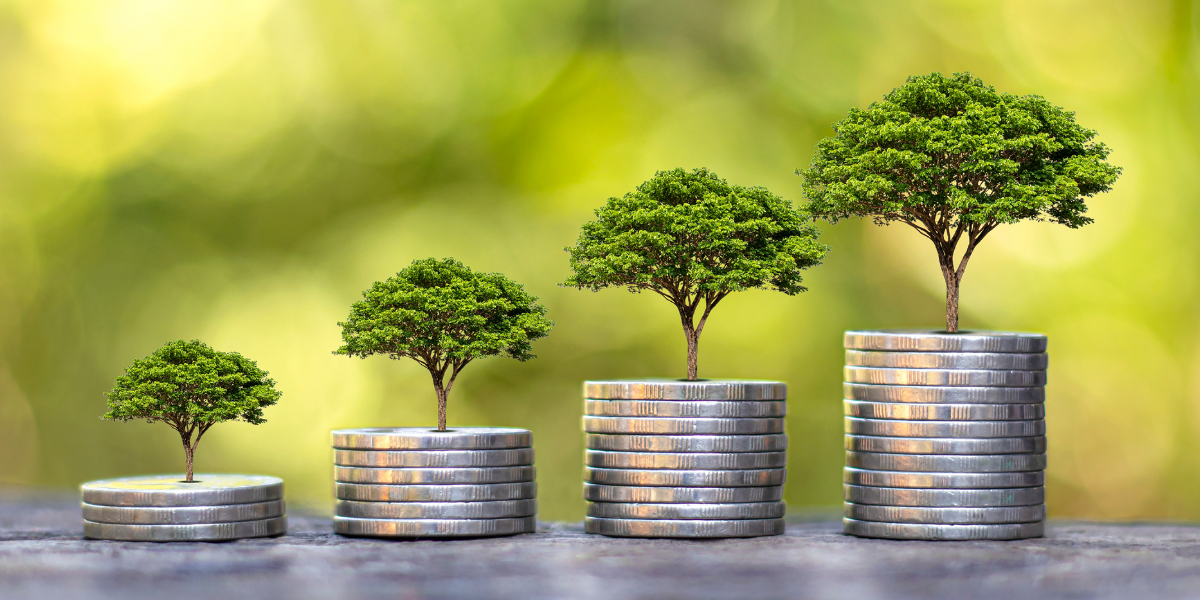 stacks of coins getting increasingly taller with trees on top of each