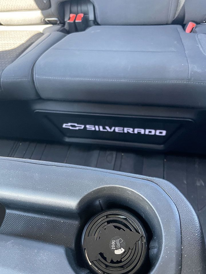 Chevrolet Silverado brand in the back seat of a car