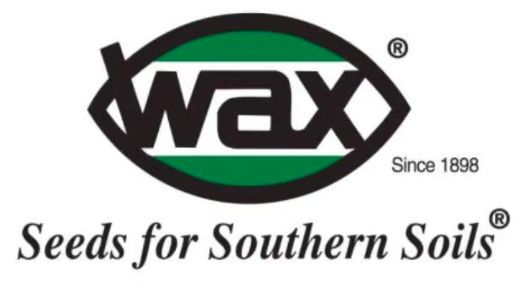 Logo for Wax Seeds. Green and black oval, 
