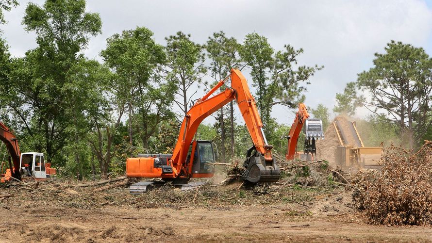 Orange excavator demolishing a structure amid dust and trees on a cleared construction site