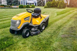 Learn More About Lawn Care