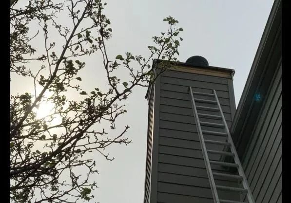 Ladder leaning against a gray chimney with a black cap; branches partially obscure the sky.