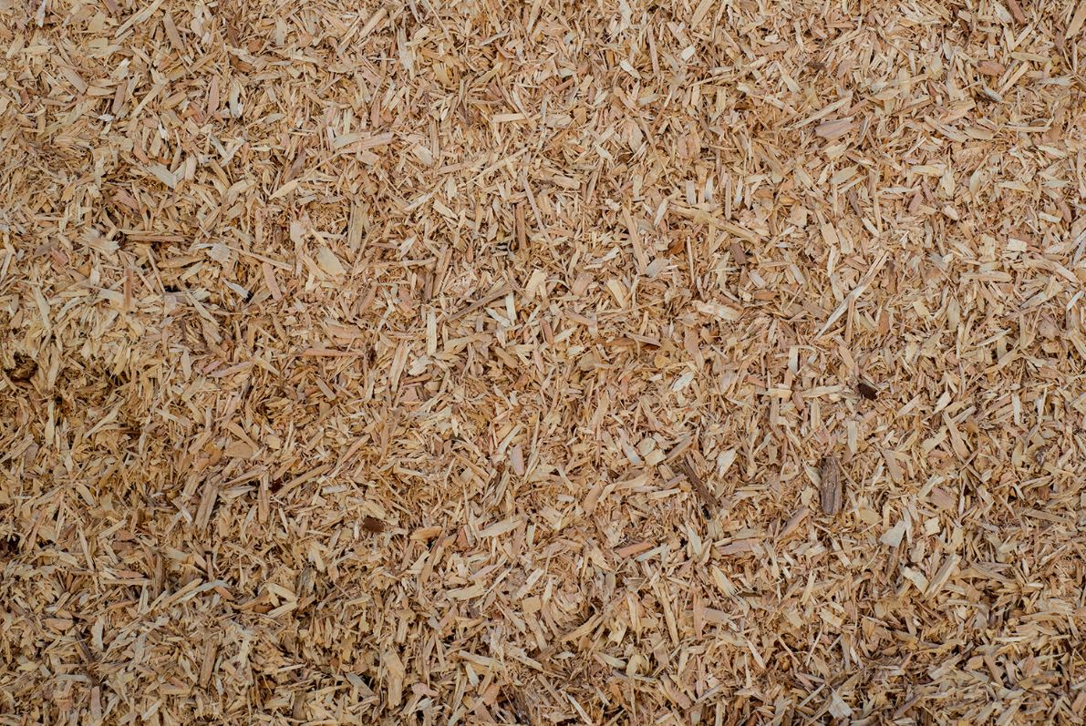 Dry Sawdust