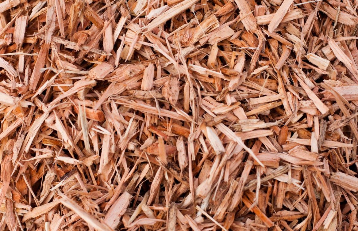 Dry Shavings