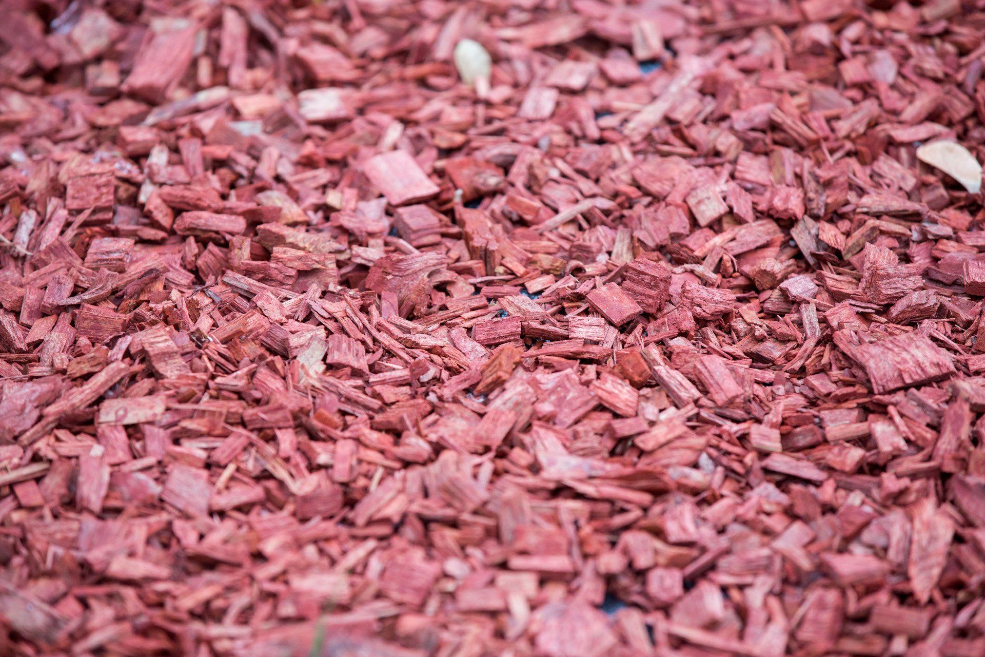 What to Know Before Purchasing Mulch