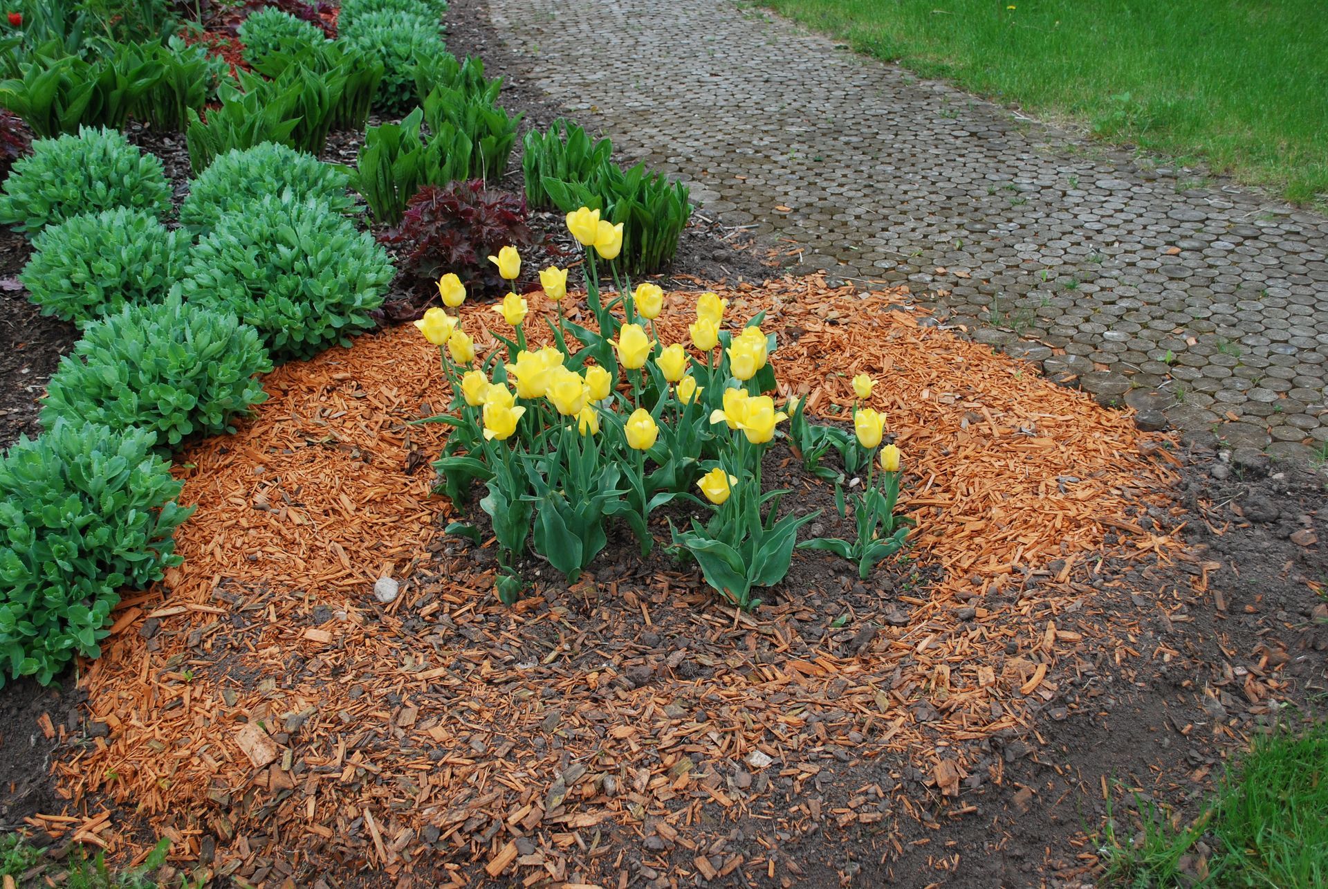 mulch