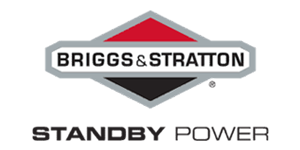 Briggs and Stratton