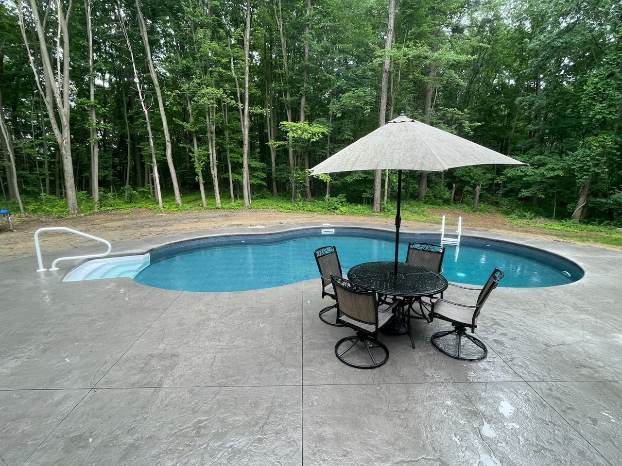 Swimming pool with patio furniture and umbrella surrounded by trees.