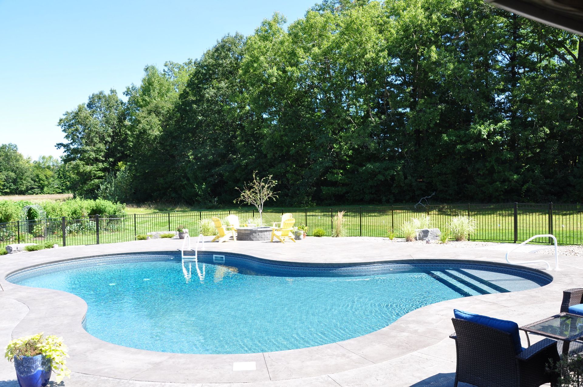 Pool with blue water and concrete patio, with green trees in the background under a blue sky.