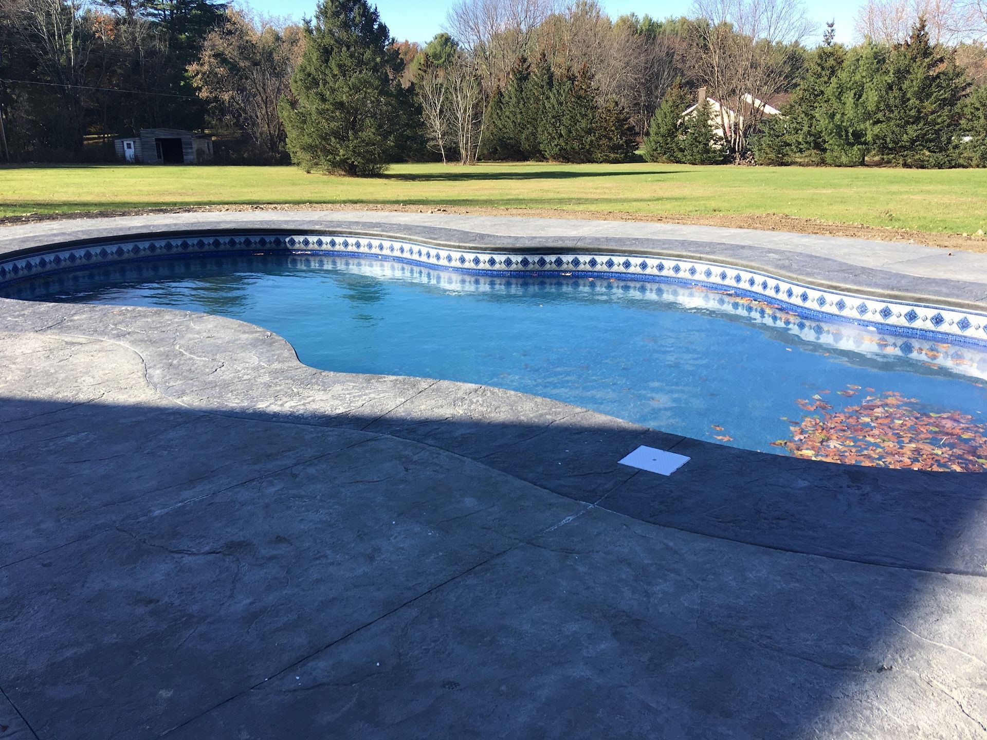 A kidney-shaped swimming pool with blue water and surrounding concrete patio, set in a grassy yard.