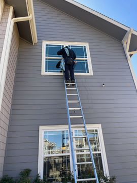 professional window-cleaning services