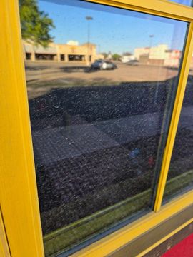 professional window-cleaning services