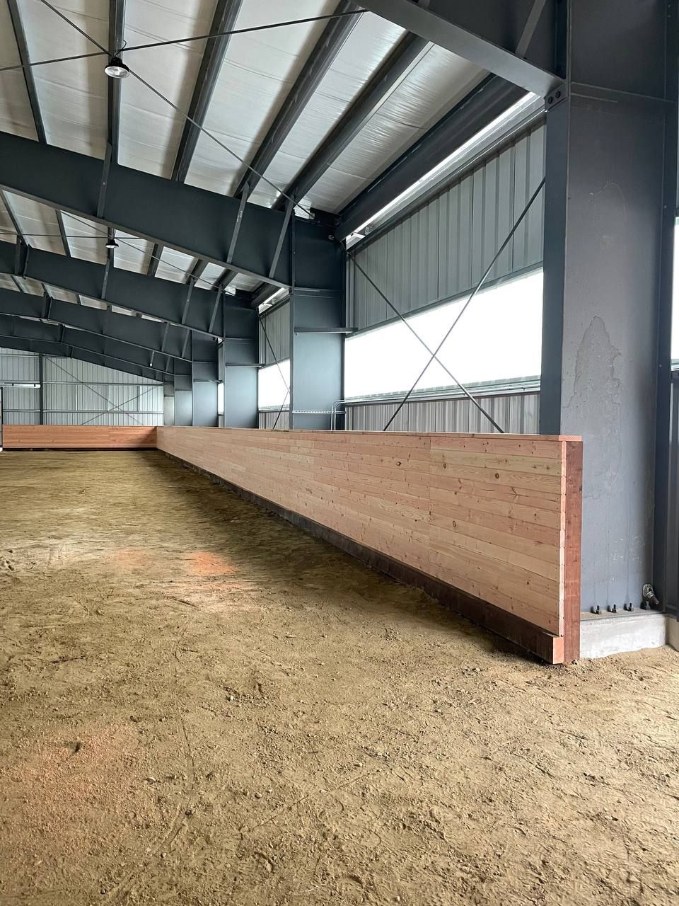 Inside a large indoor equestrian arena, dirt floor, wood wall barrier, metal structure.