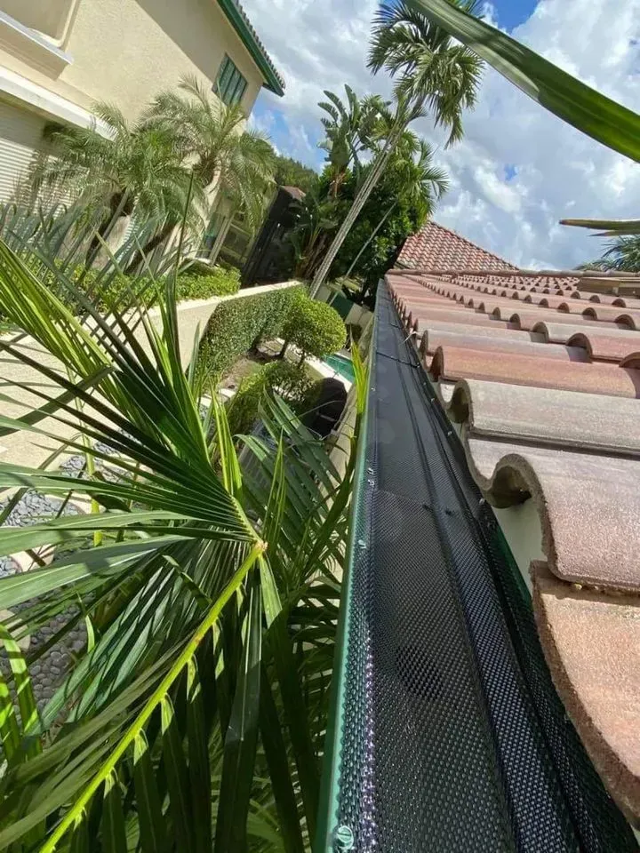 Tropical resort roofline with palm trees, a mesh gutter guard, and a cloudy blue sky