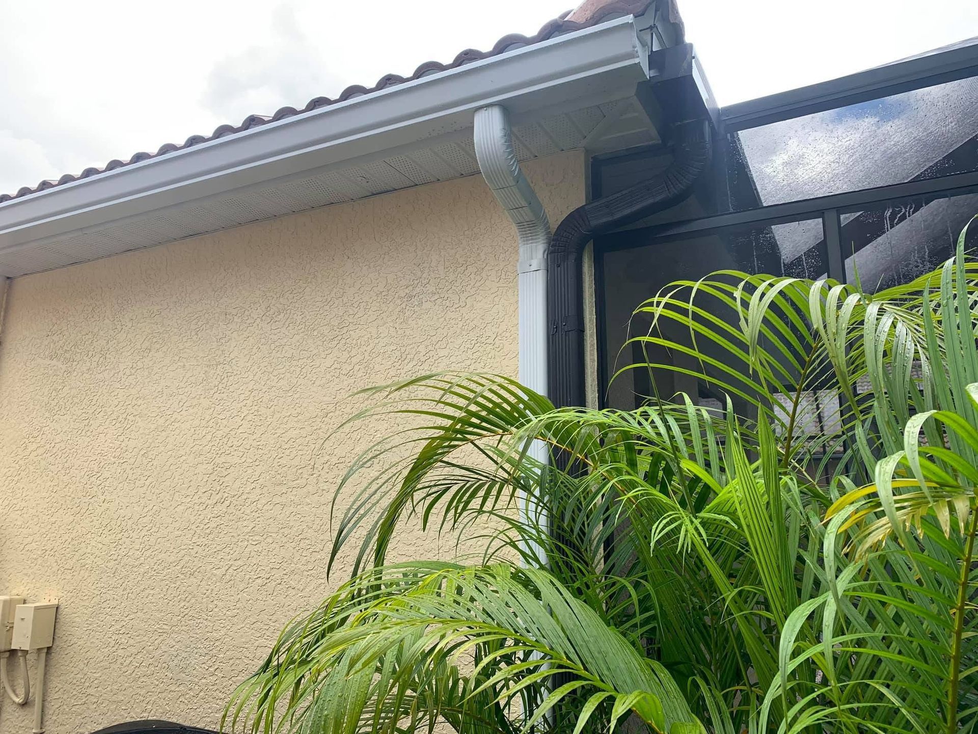 House exterior with beige stucco wall, white gutter, and green palm fronds by a dark window awning