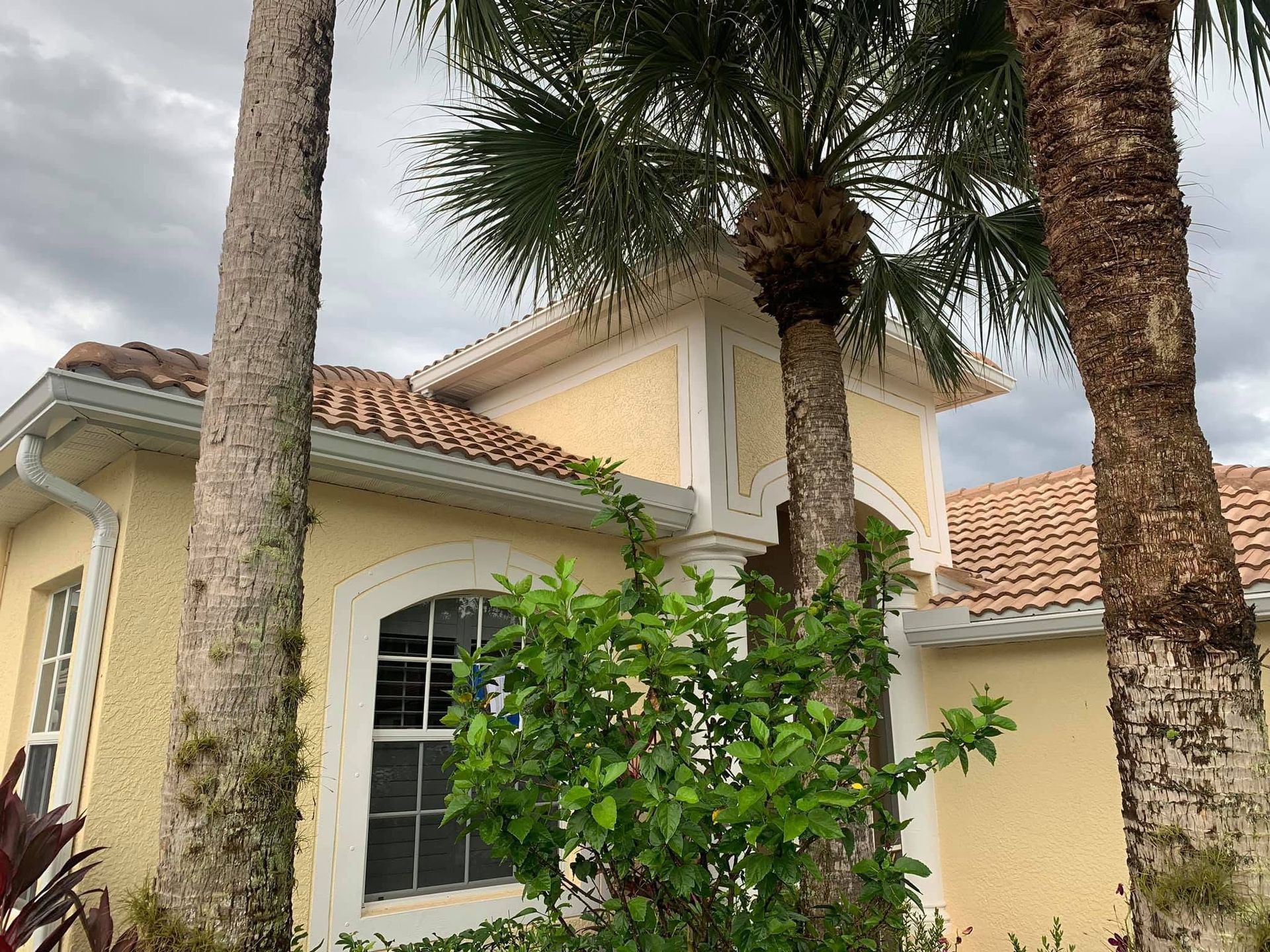 Yellow stucco house with terracotta roof, arched window, and palm trees in front