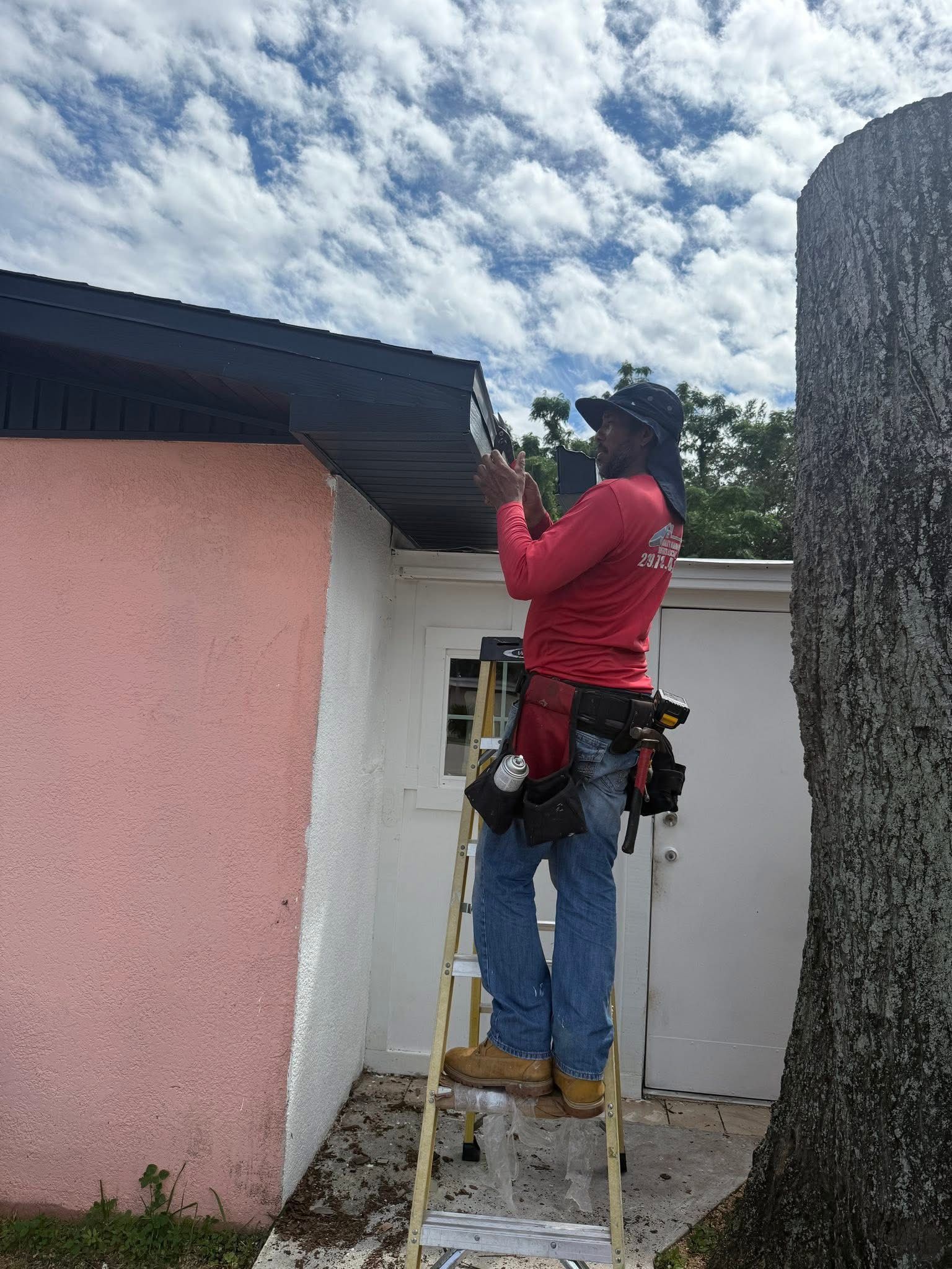 Worker on ladder trimming a tree beside a pink building under a cloudy sky