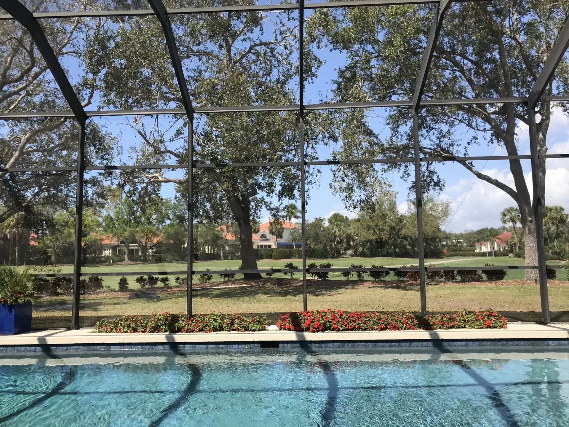 Backyard pool in foreground with screened patio, lawn, trees, and flower bed beyond