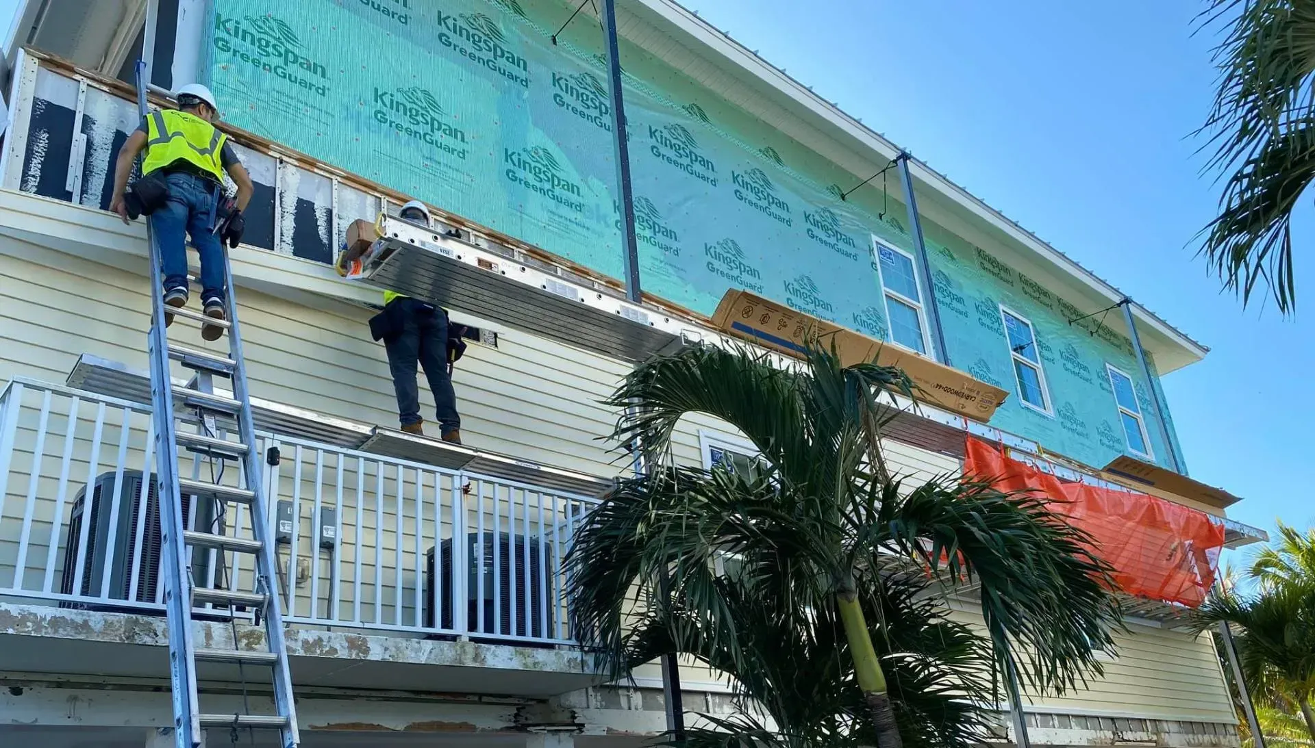 Workers on ladders installing a large banner on a building facade above a palm tree.