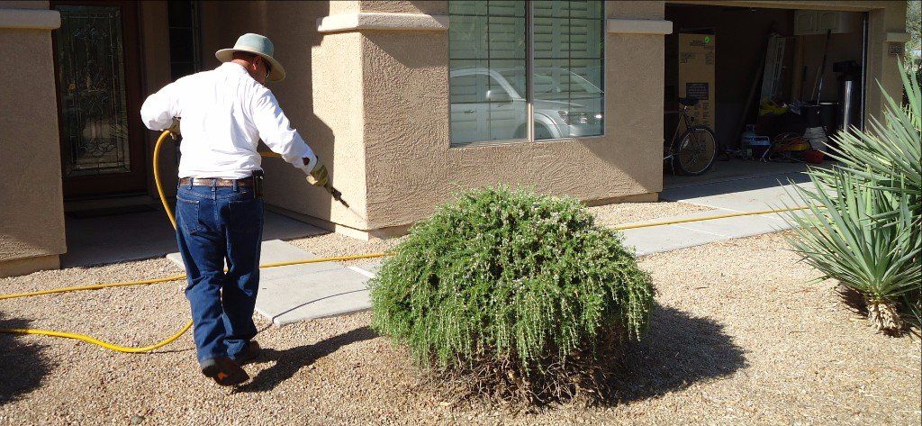 Residential Pest Control New River, AZ