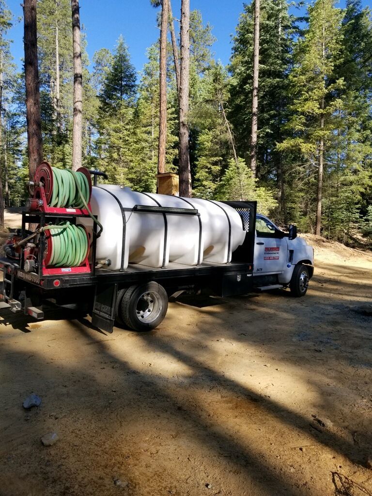Pest and Termite Control in Anthem, Carefree, New River & Cave Creek