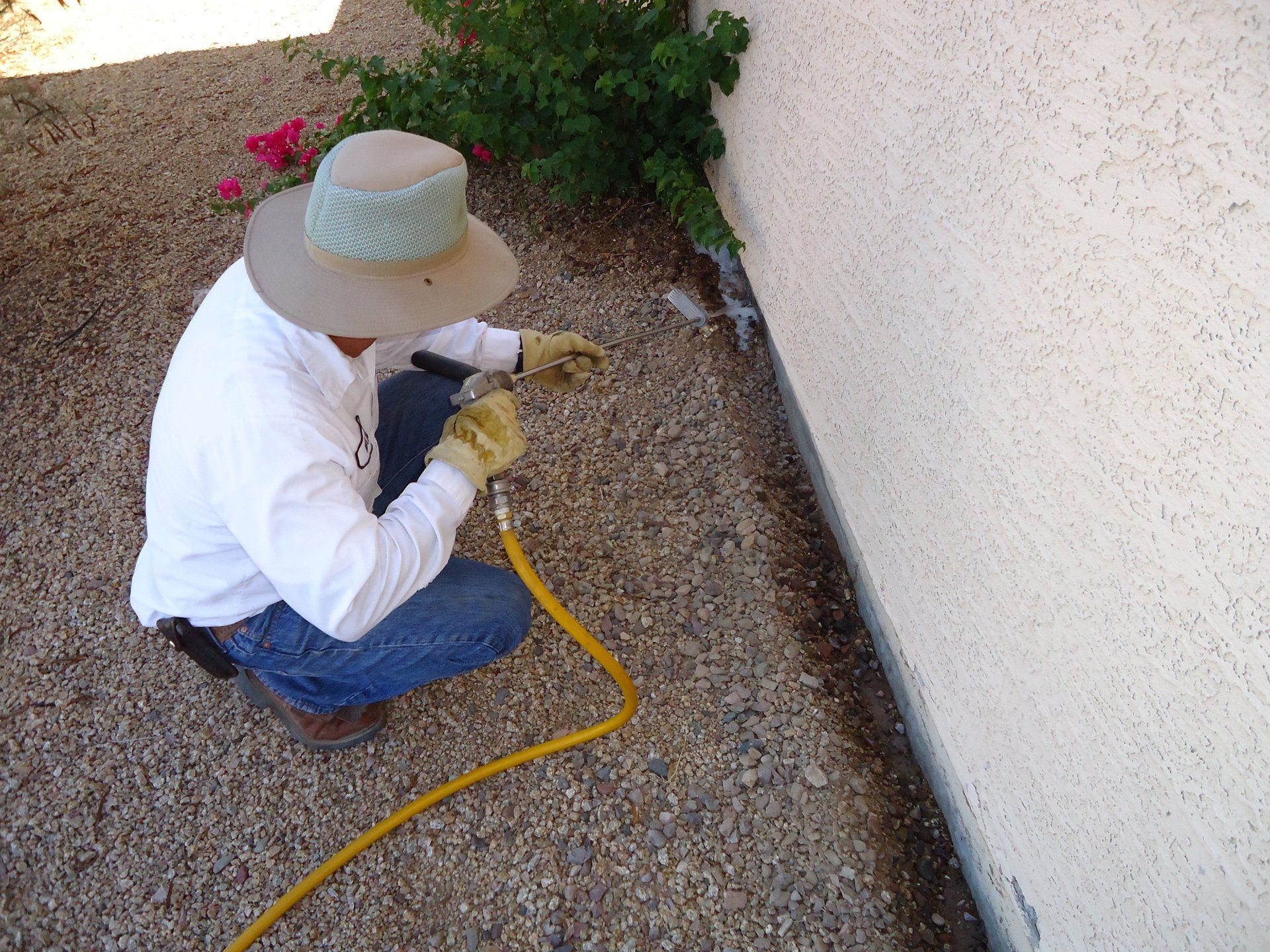 Termite Control application to home in Cave Creek, Arizona