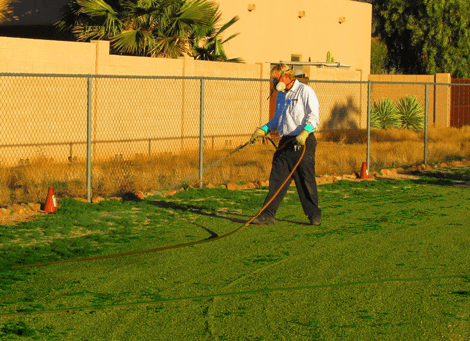 Pest and Termite Control in Anthem, Carefree, New River & Cave Creek