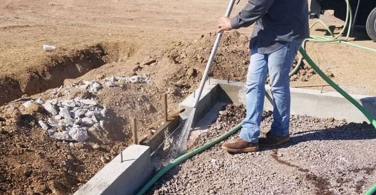 Pest and Termite Control in Anthem, Carefree, New River & Cave Creek