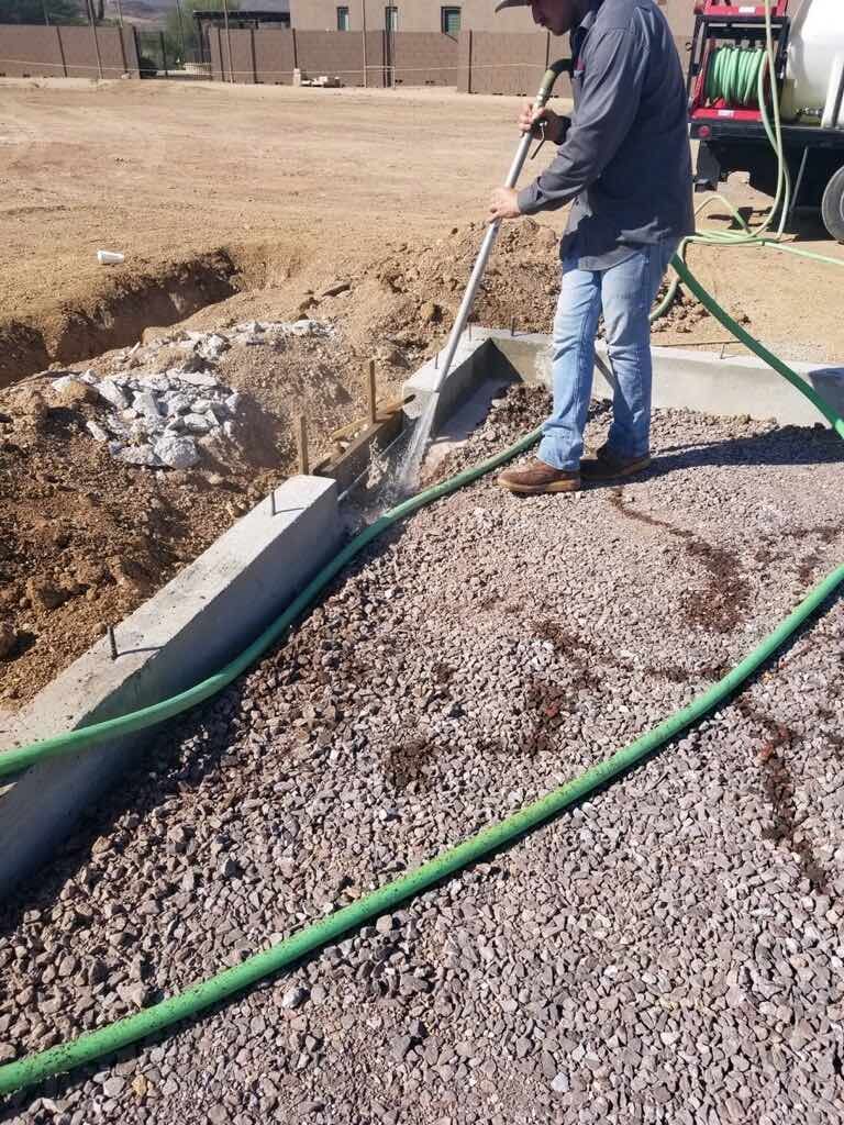 Pest and Termite Control in Anthem, Carefree, New River & Cave Creek