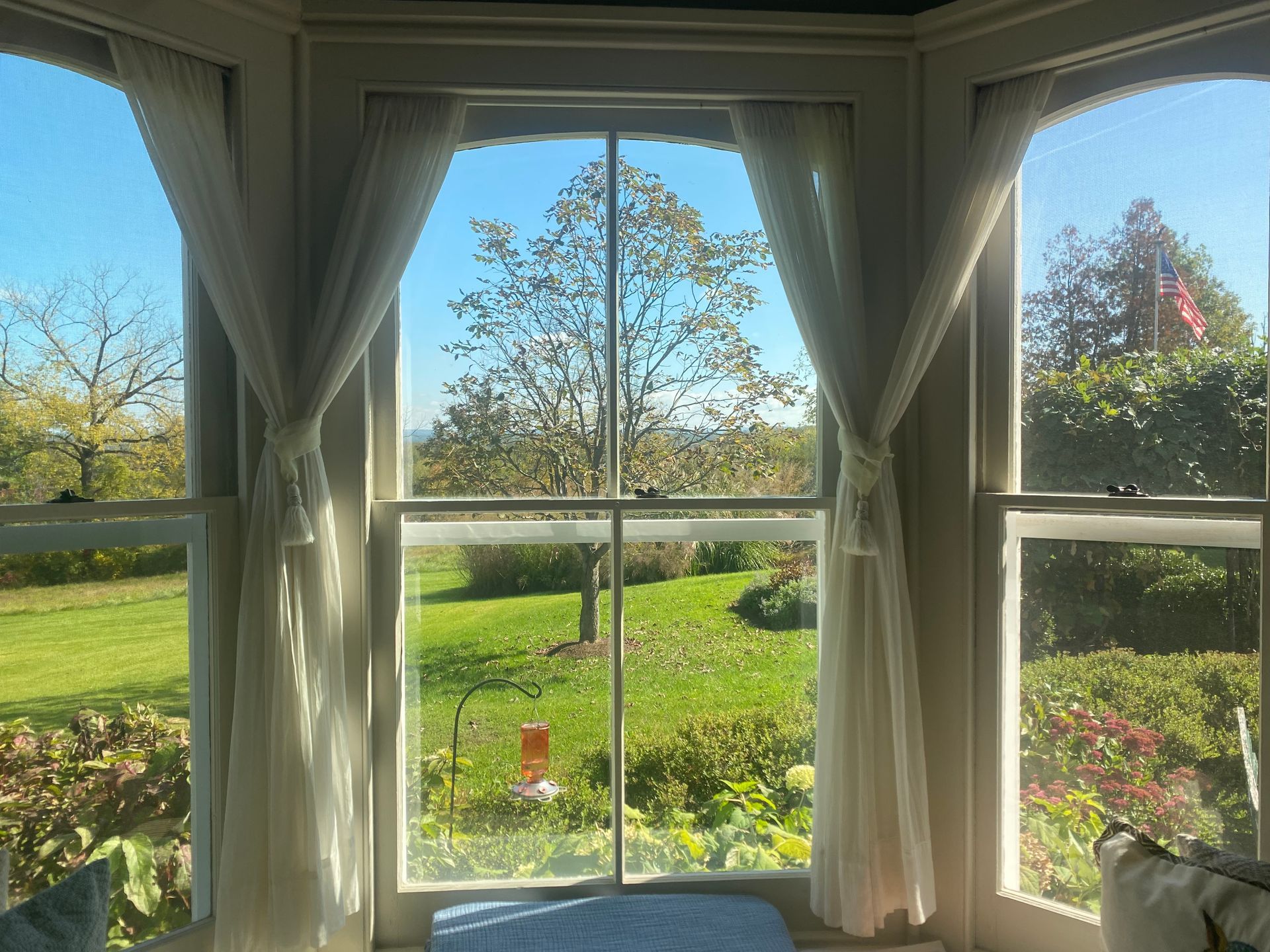 A window with a view of a lush green field