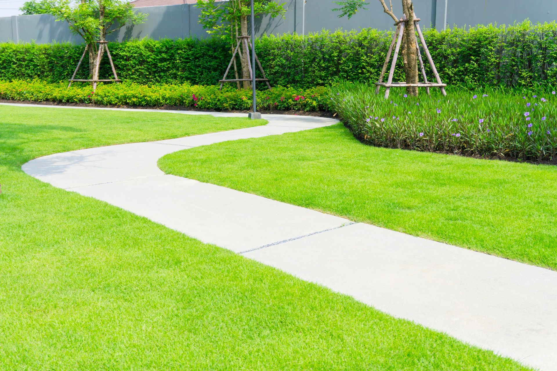 Curving white garden path through bright green grass beside hedges and young trees