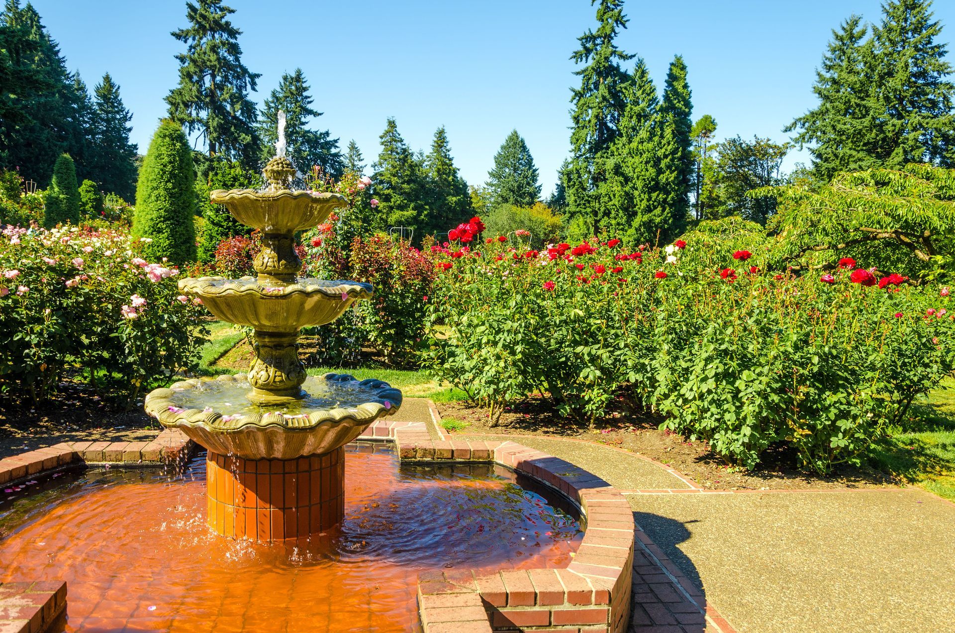 Tiered fountain in a sunny garden with red flowers, green hedges, and tall trees.