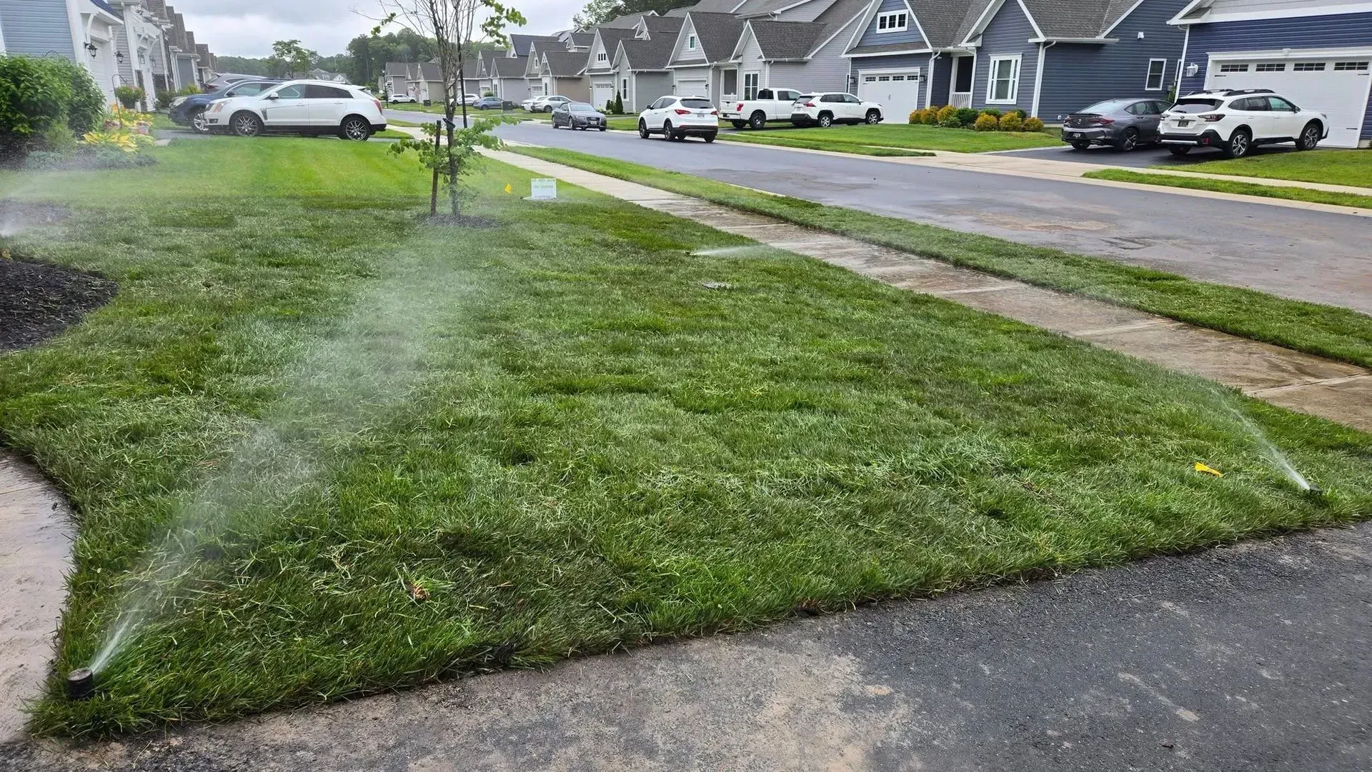 Sprinkler watering a green lawn in a suburban neighborhood beside a sidewalk and street.