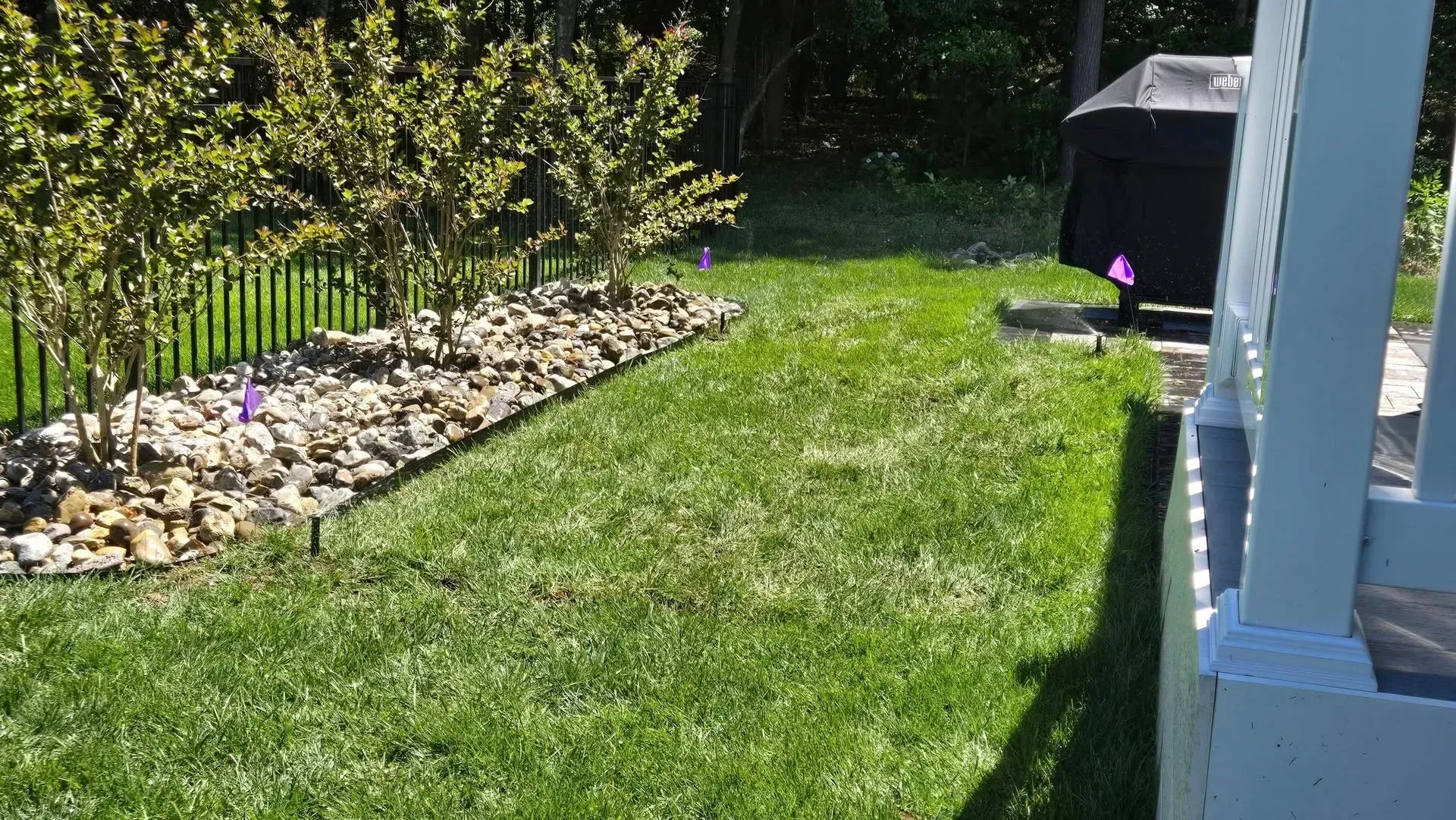 Sunny backyard with green lawn, stone garden border, shrubs, and a deck railing on the right
