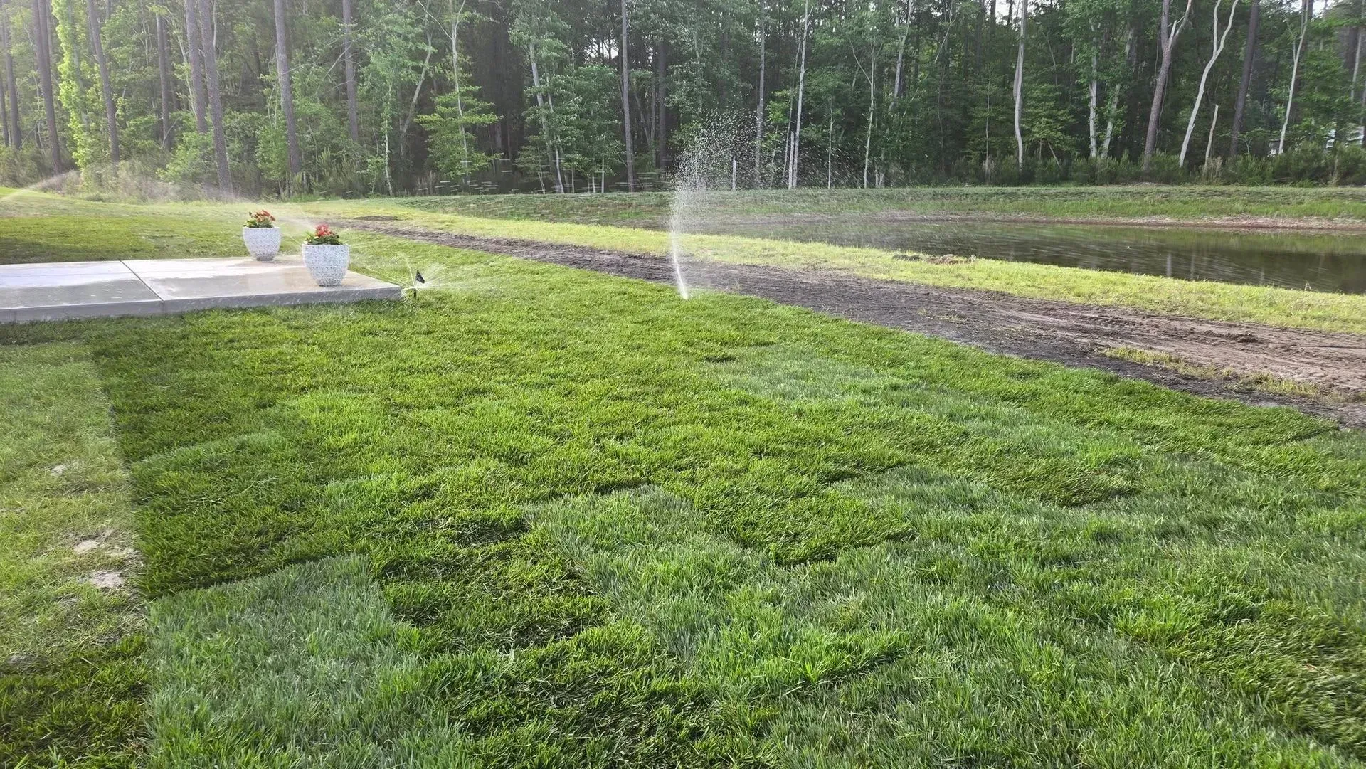 Lawn sprinkler watering a green grassy yard beside a wooded path