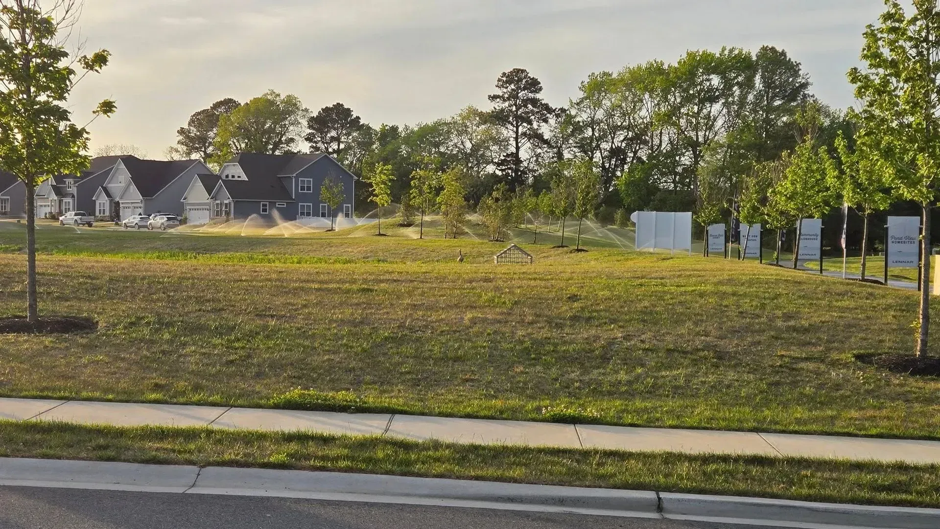 Empty grassy lot beside a road, with houses, trees, and signs in the background.