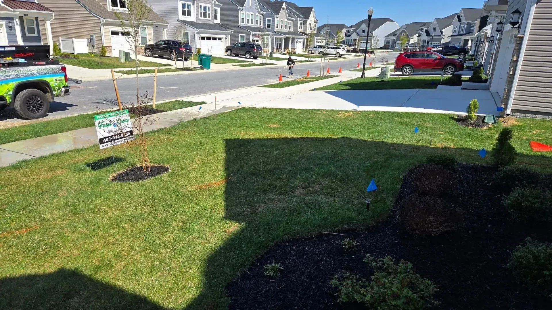 Suburban front yard with new grass and a small sign beside a residential street on a sunny day