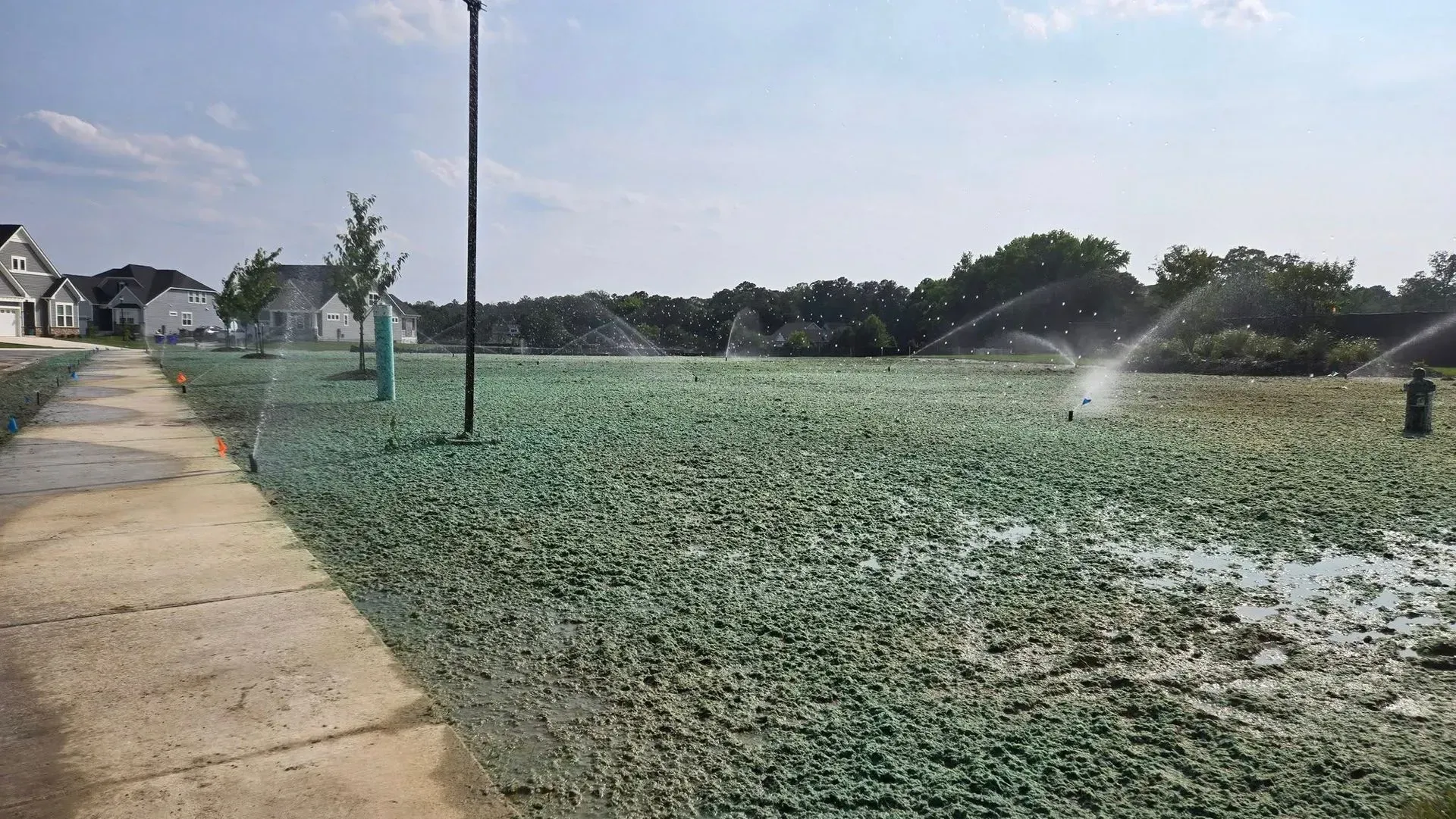 Sprinklers watering a green field beside a sidewalk and houses under a clear sky