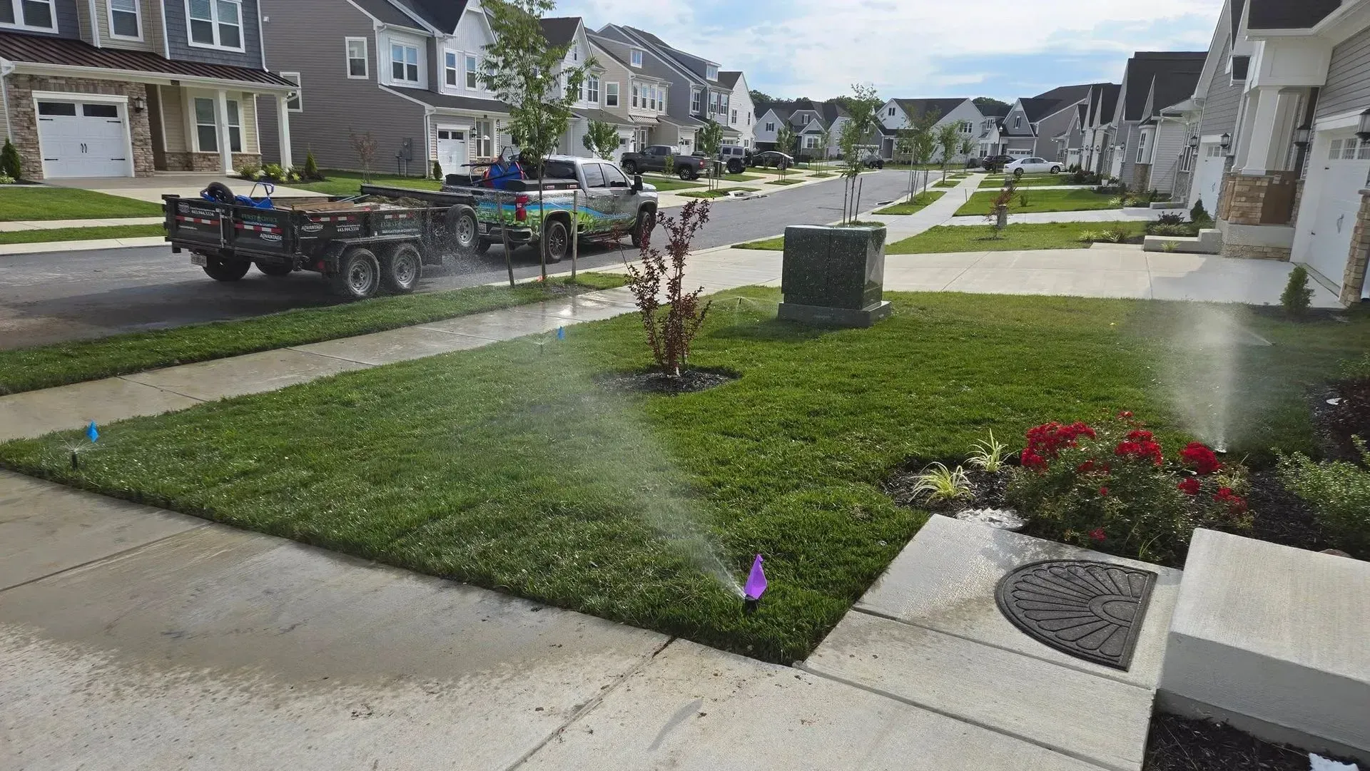 Suburban front yard with sprinklers watering a green lawn beside a sidewalk and row of houses