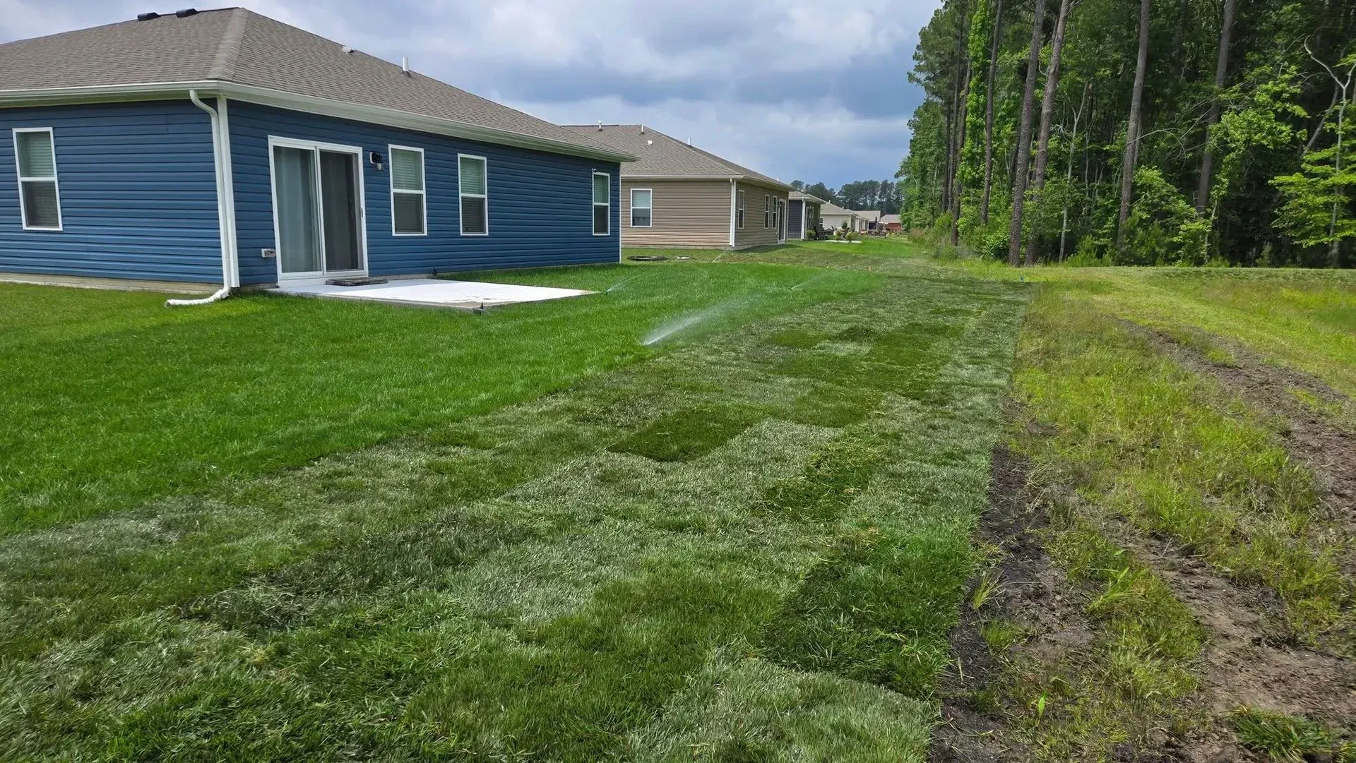 Blue house with a large grassy yard and a muddy path beside a tree line