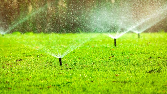 Sprinklers watering a bright green lawn in a garden or field