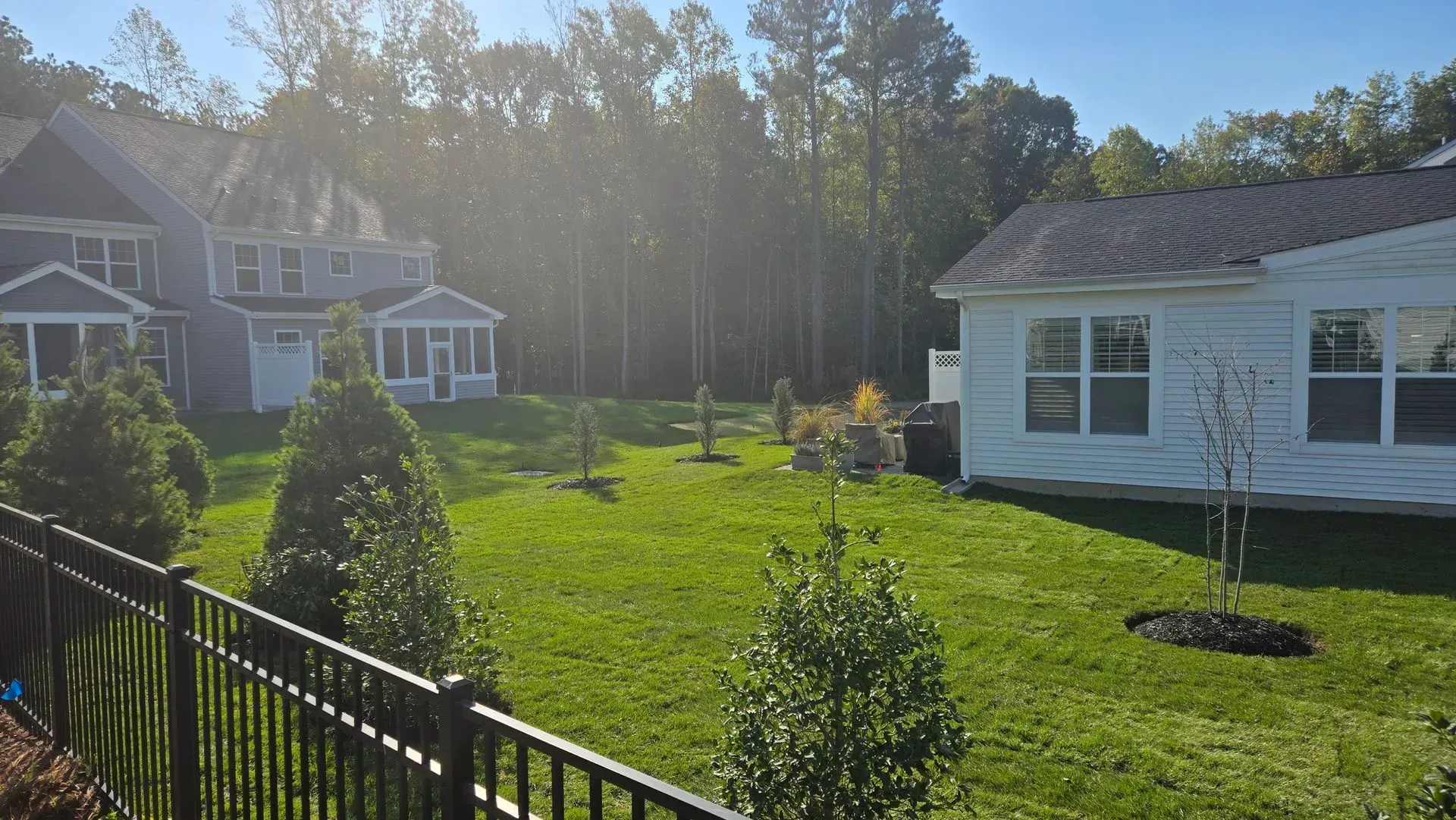 Sunny backyard with green lawn, shrubs, and white houses along a black fence.