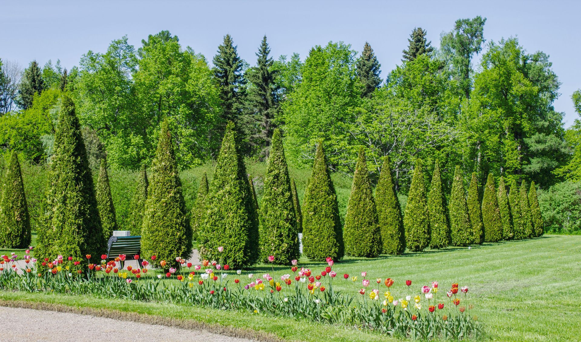 Formal garden with tall conical shrubs, colorful flower beds, and a green lawn under bright sunlight