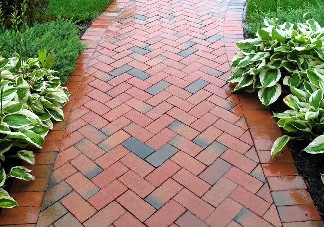 Brick garden path bordered by lush green and white hostas.