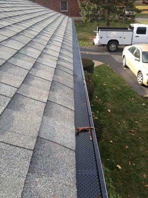 Gray asphalt shingle roof with black gutter guard; cars and a truck in the background.