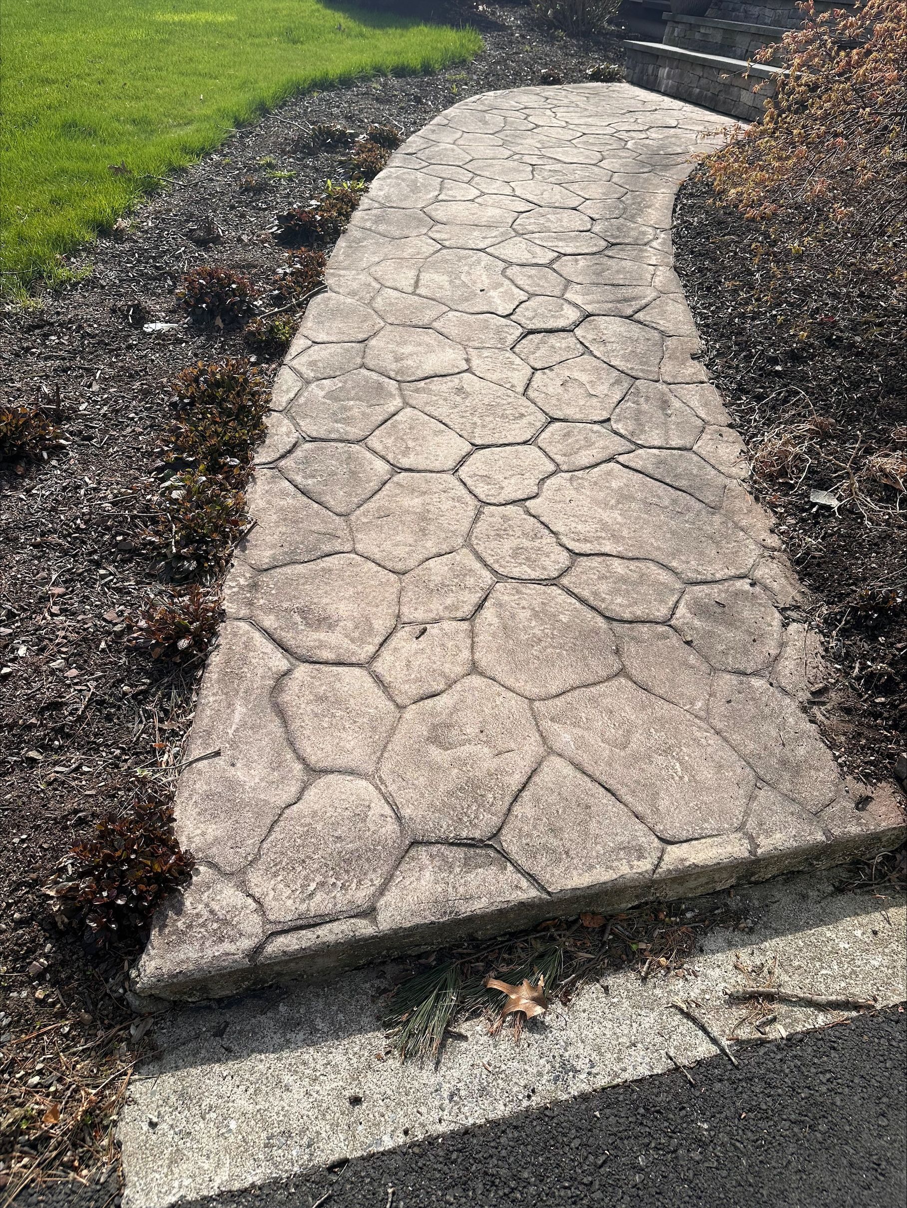 A concrete walkway going through a garden next to a road.