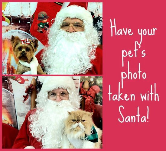 Have your Pet's photos taken with santa